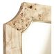 Farra 54 X 28 inch Poplar Burl with Weathered Brass Wall Mirror, Varaluz Casa