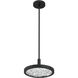 Courtney LED 12 inch Textured Black Convertible Pendant Ceiling Light