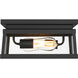 Great Outdoors Isla Vista 2 Light 12 inch Coal Outdoor Flush Mount