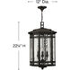 Tahoe 4 Light 12 inch Regency Bronze Outdoor Hanging Lantern