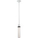 Zigrina 1 Light 5.13 inch Matte White with Satin Brushed Black Pendant Ceiling Light