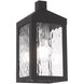 Nyack 1 Light 11 inch Black Outdoor Wall Lantern
