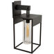 Weybridge LED 26.9 inch Black and Clear Outdoor Wall Light
