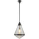 Willard 1 Light 13.5 inch Urban Bronze/Prismatic Glass Pendant Ceiling Light in Clear Prismatic Glass