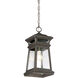 Taylor 1 Light 8 inch English Bronze with Gold Outdoor Hanging Lantern