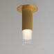 Reeds LED 2.5 inch Gold Flush Mount Ceiling Light