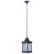 Gentry 1 Light 8.5 inch Midnight Outdoor Pendant