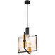 Hayward 3 Light 16 inch Black with Warm Brass Accents Pendant Ceiling Light