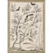 Shimmering Garden Neutral and Black and White Framed Art