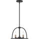 Abbott 3 Light 13.75 inch Black Mini Chandelier Ceiling Light