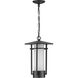 Exton 1 Light 11.12 inch Textured Black Outdoor Pendant