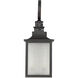 Monte Grande Outdoor Wall Lantern in English Bronze