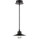 Suspense LED 10 inch Black Outdoor Pendant
