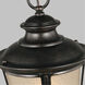 Cape May 1 Light 9 inch Burled Iron Outdoor Pendant