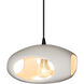 Radiance 1 Light 12 inch Pendant Ceiling Light