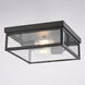 Clinton 2 Light 12 inch Matte Black Outdoor Ceiling