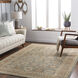 Reign 36 X 24 inch Sage Rug in 2 x 3, Rectangle