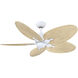 Islander DC Matte White Fan Motor in 5