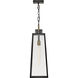 Hugh 1 Light 8.5 inch Black with Burnished Bronze Outdoor Hanging