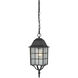 Adams 1 Light 6 inch Textured Black Outdoor Hanging Lantern
