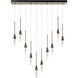 Lilium 10 Light 44.5 inch Dark Smoke Linear Pendant Ceiling Light