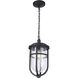 Voyage 1 Light 10 inch Midnight Outdoor Pendant