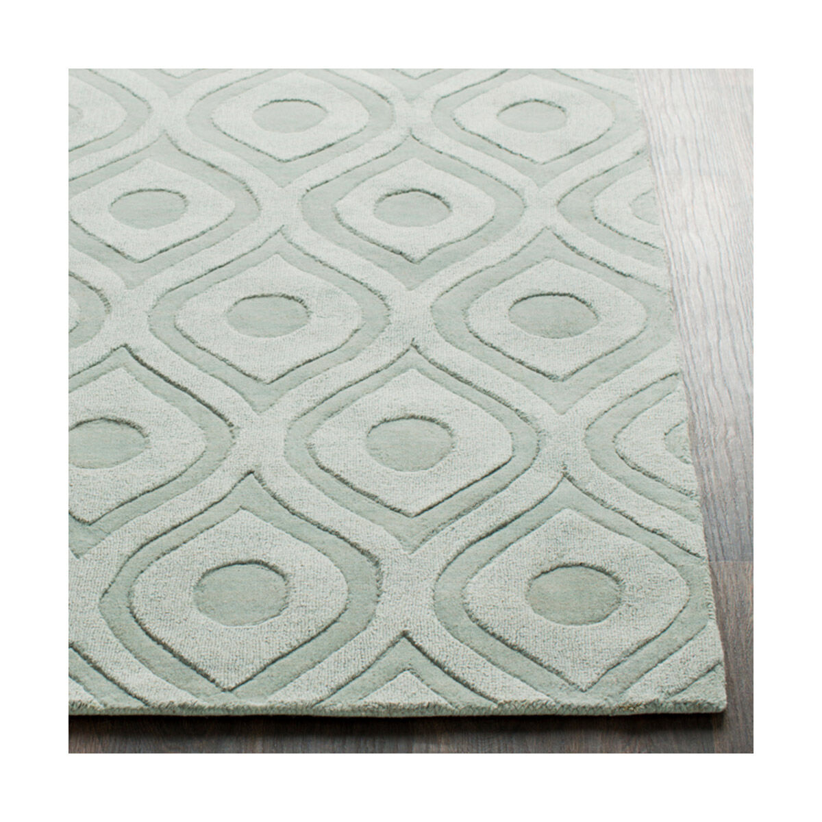 Central Park 72 X 48 inch Sea Foam Indoor Area Rug, Rectangle