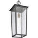 Marquis 1 Light 9 inch Matte Black with Chemical Oz and Clear Outdoor Pendant