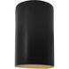 Ambiance Collection LED 12.5 inch Carbon Matte Black/Champagne Gold Outdoor Wall Sconce