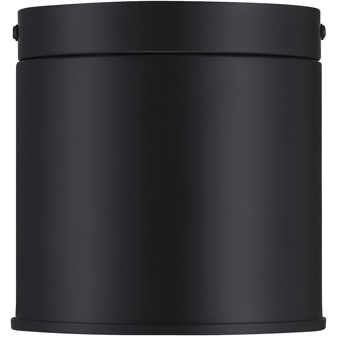 Fleur Oasis LED 6 inch Matte Black Flush Mount Ceiling Light