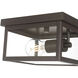 Evanton 1 Light 8 inch Powder Coated Bronze Outdoor Flush Mount