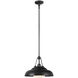 Palmetto Pendant Ceiling Light in Urban Bronze