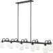 Delaney 10 Light 56 inch Matte Black Linear Chandelier Ceiling Light