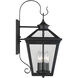 Ellijay Outdoor Wall Lantern in Black