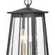Kirkdale 2 Light 9 inch Matte Black with Natural Brass Outdoor Pendant