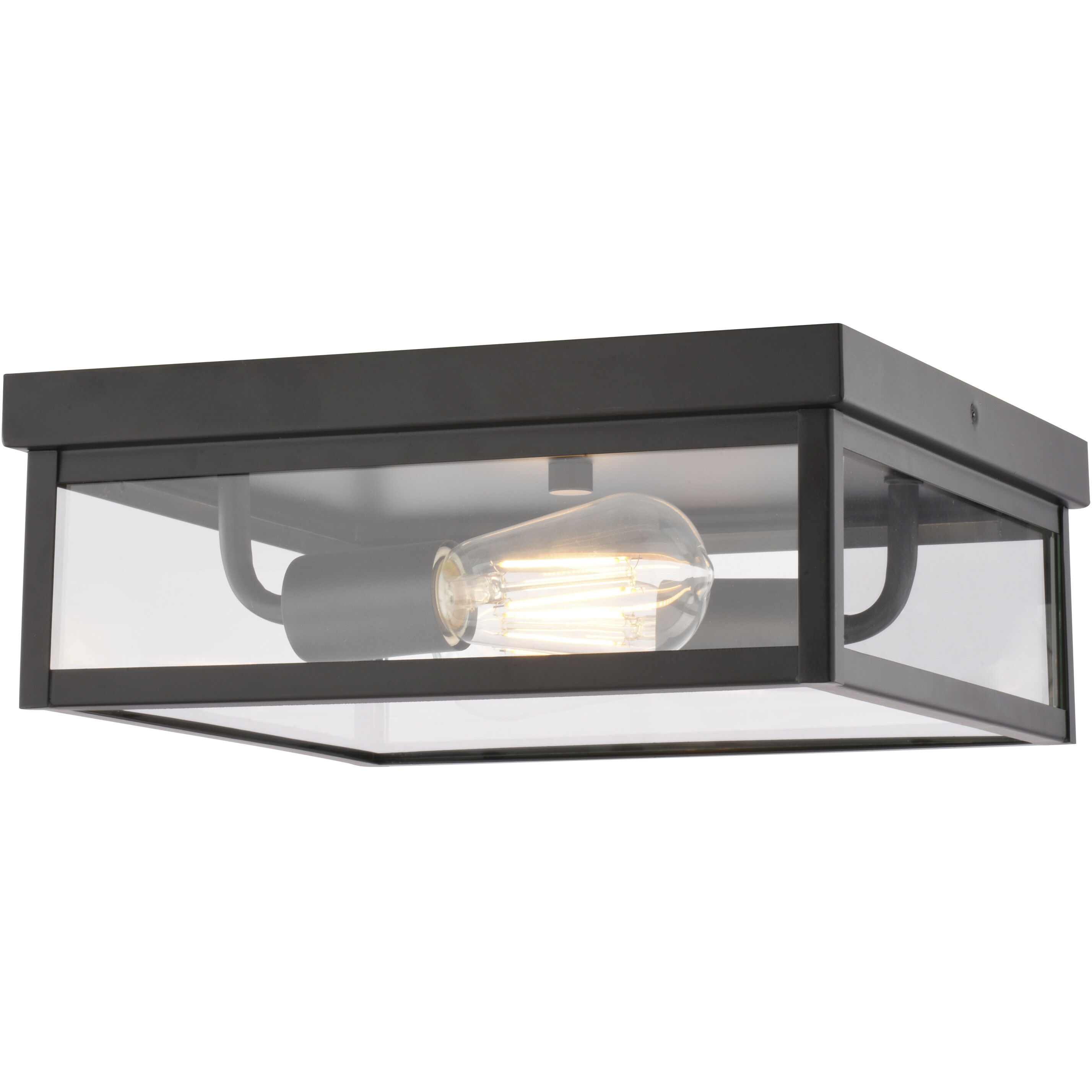 Clinton 2 Light 12 inch Matte Black Outdoor Ceiling