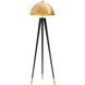 Coyote 64.96 inch 100 watt Gold with Black Legs Floor Lamp Portable Light