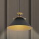 Tremolo 1 Light 16.25 inch Textured Black and Champagne Gold Pendant Ceiling Light
