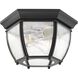 Zachriel 2 Light 11 inch Textured Black Outdoor Flush Mount