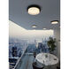 Elm LED 11 inch Black Outdoor Flush Mount