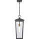 Marquis 1 Light 9 inch Matte Black with Chemical Oz and Clear Outdoor Pendant