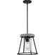 Laramie 1 Light 12 inch Matte Black Pendant Ceiling Light, Design Series