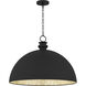 Braylon Pendant Ceiling Light