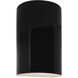 Ambiance Cylinder LED 9.5 inch Gloss Black Outdoor Wall Sconce, Small