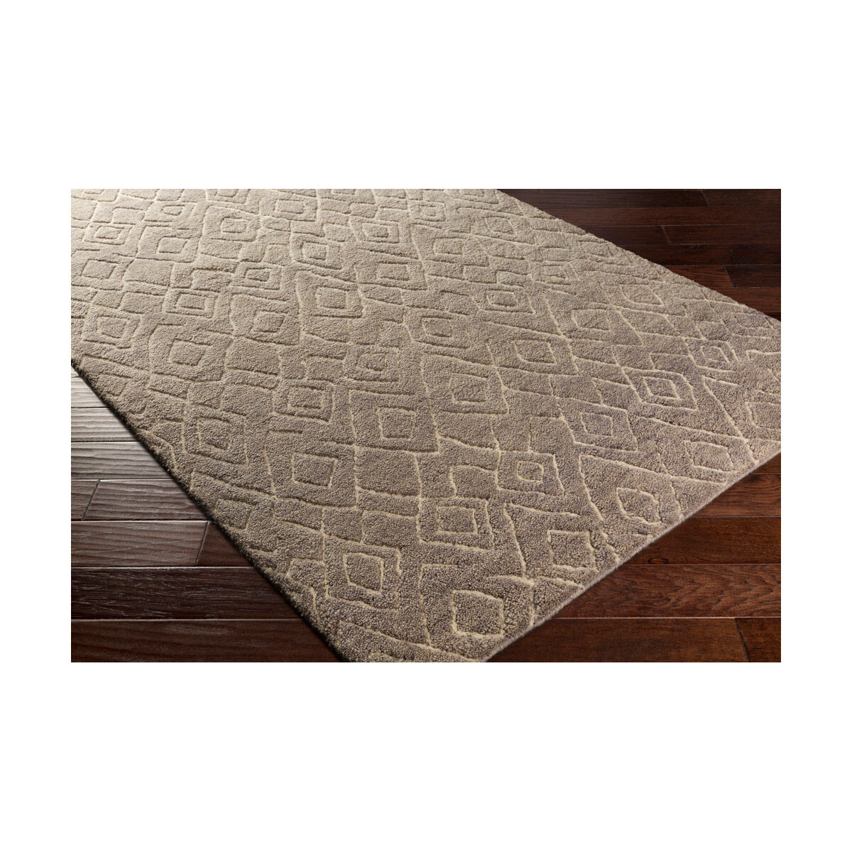 Javier 36 X 24 inch Neutral and Neutral Area Rug, Wool
