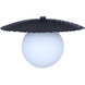 Mierka 3 Light 32.5 inch Black Pendant Ceiling Light