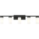 Danica 5 Light 38.75 inch Matte Black Bath Vanity Light Wall Light