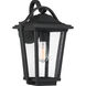 Darius 1 Light 18 inch Earth Black Outdoor Wall Light