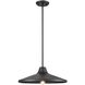 Somerset 1 Light 16 inch Black Outdoor Pendant