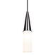 Metro 12 1 Light Black Cord Pendant Ceiling Light